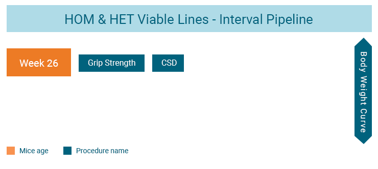 IMPC Interval Pipeline infographic displays procedures HOM & HET viable lines mice go through at interval stage of week 26