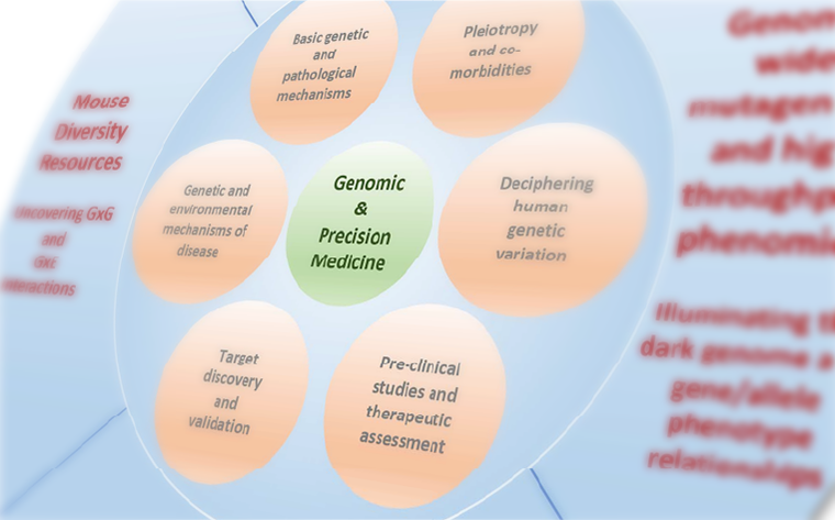 Advances in Mouse Genetics for the Study of Human Disease | IMPC ...