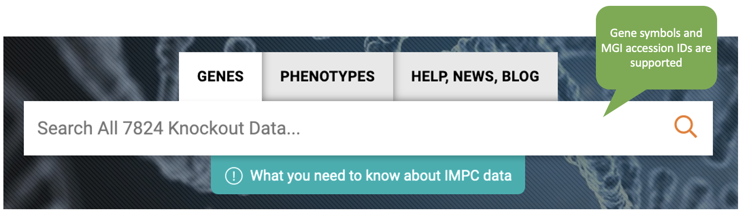 Gene pages | IMPC | International Mouse Phenotyping Consortium